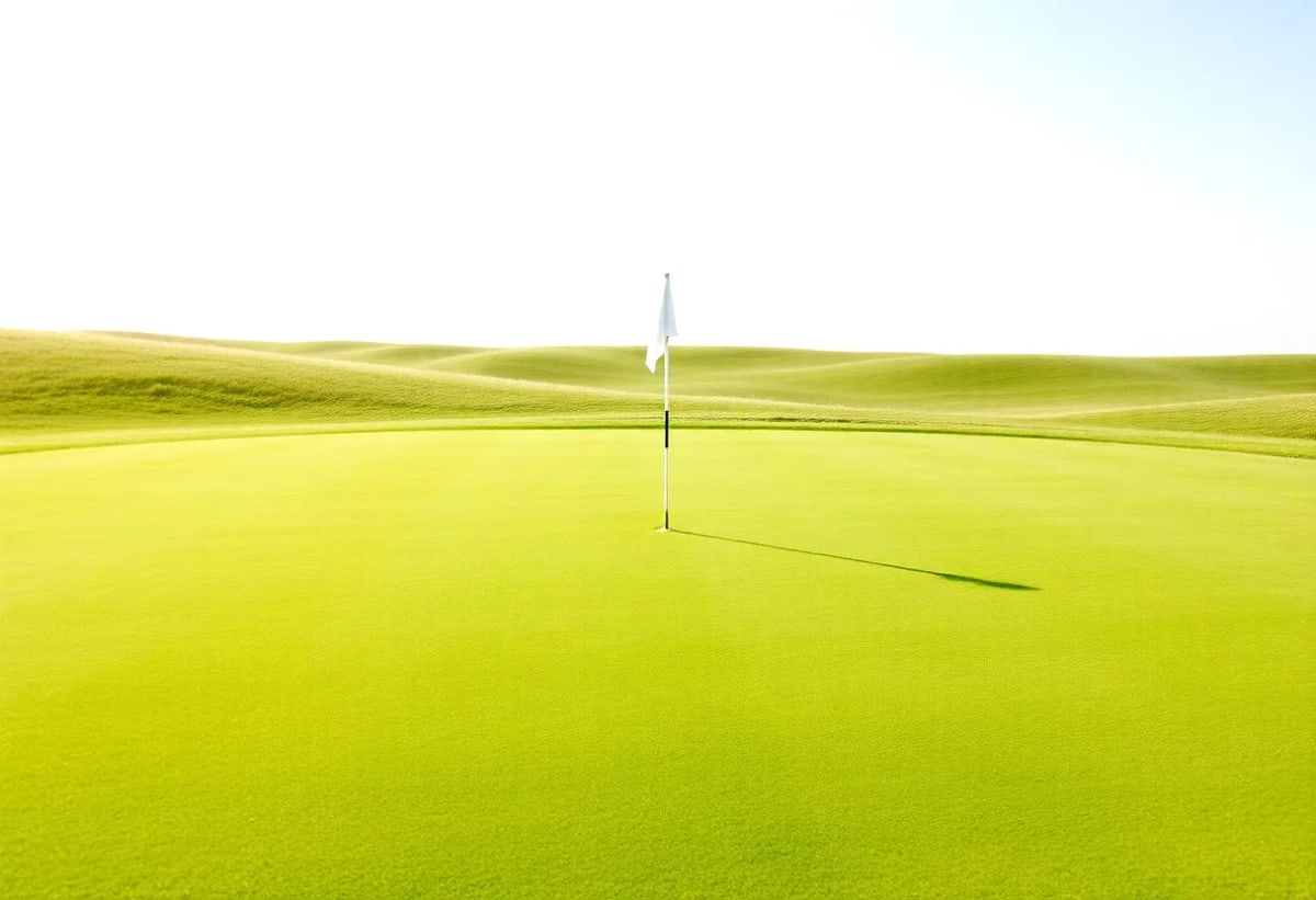 2030 직장인을 위한 골프 입문 필수 정보 정리